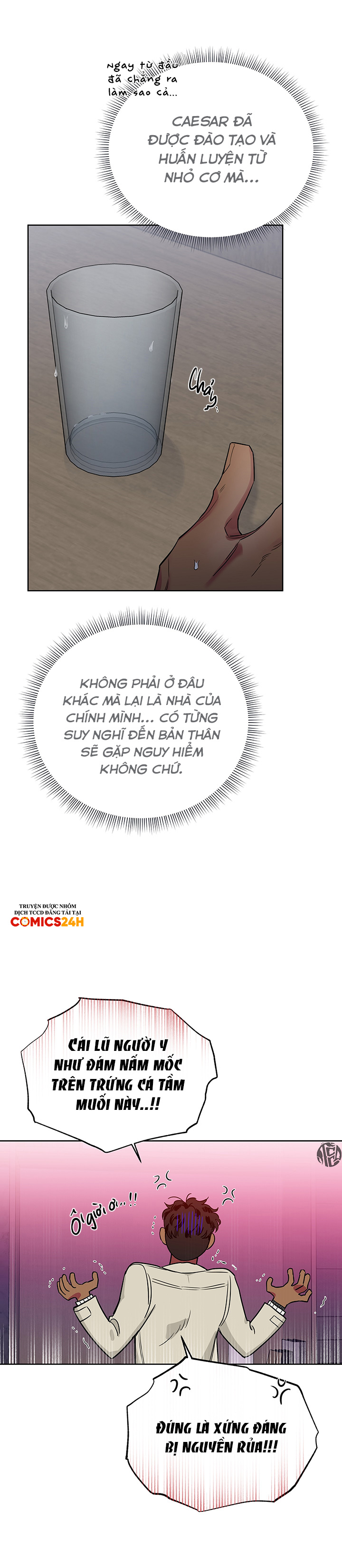 đoá hồng và ly champagne chapter 0.12 11