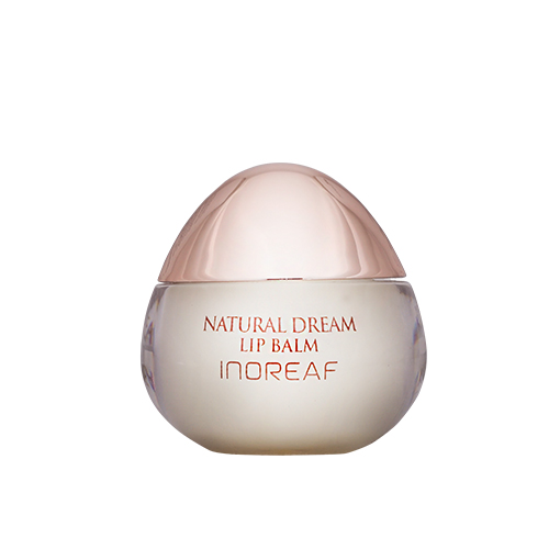 Son dưỡng môi không màu BEBECO Inoreaf Natural Dream Lop Balm  Hàn Quốc