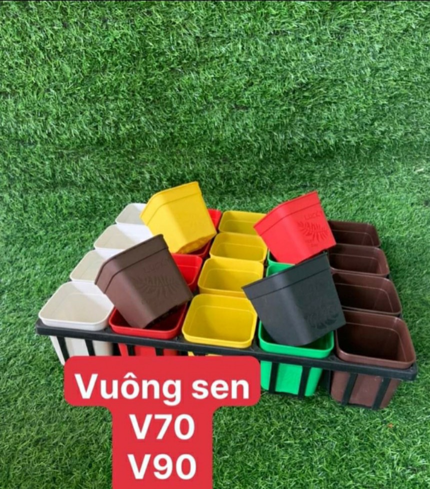 Bộ 05 cái khay đựng chậu sen vuông 7cm hoặc 9cm