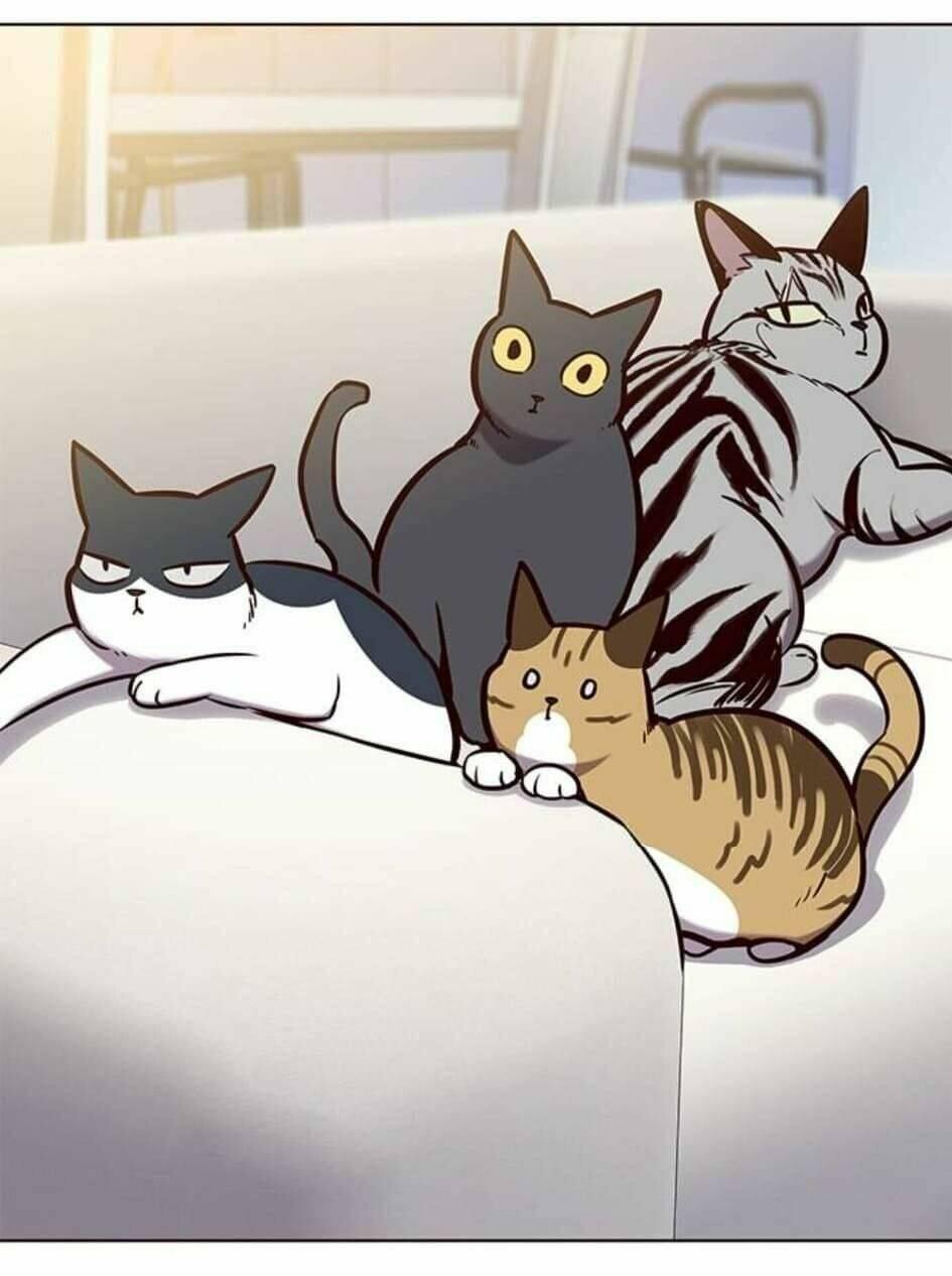 biến thân thành mèo chapter 144 27