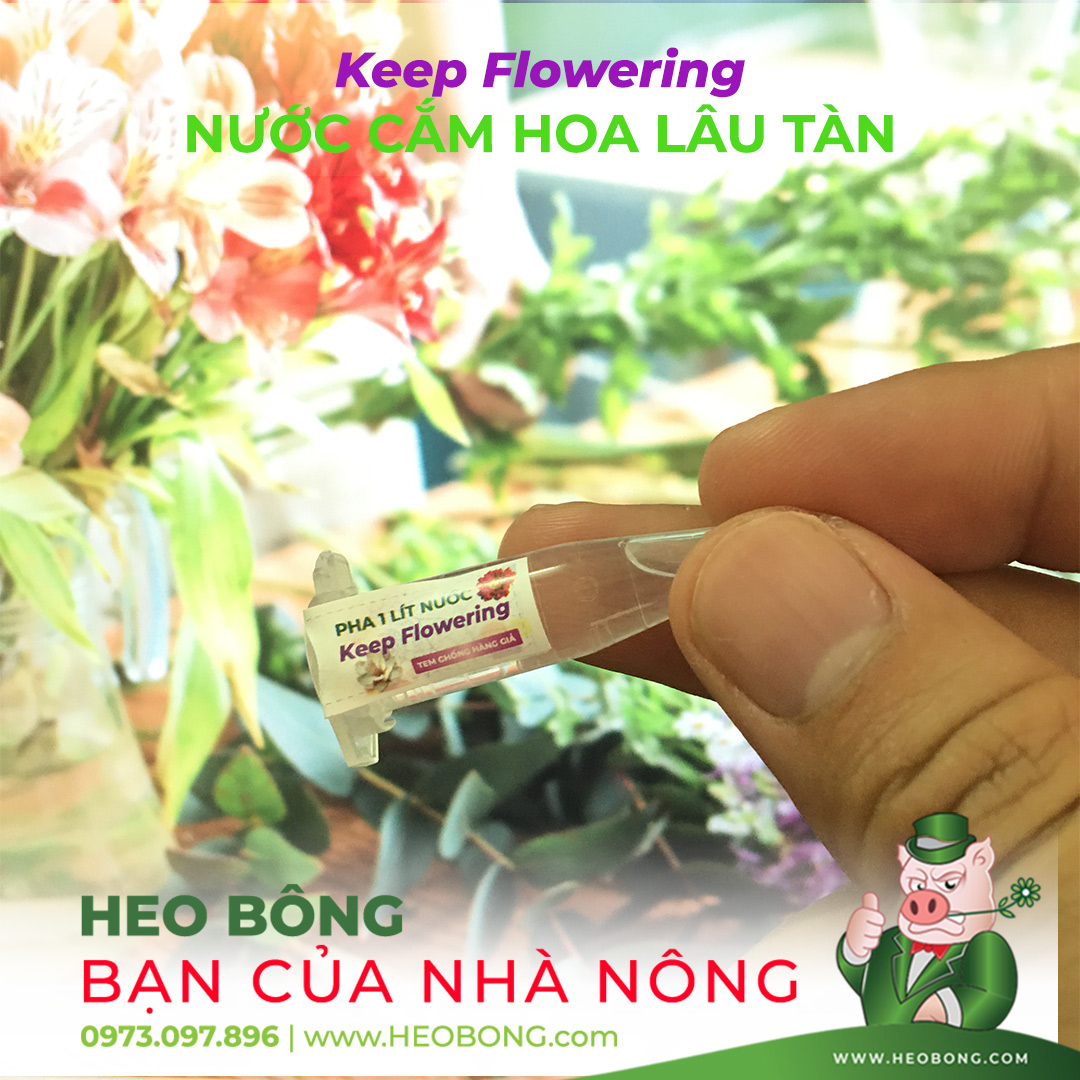 Nước Cắm Hoa Lâu Tàn Keep Flowering