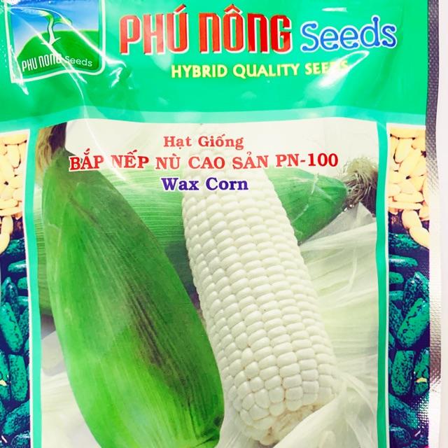 Hạt giống bắp nếp