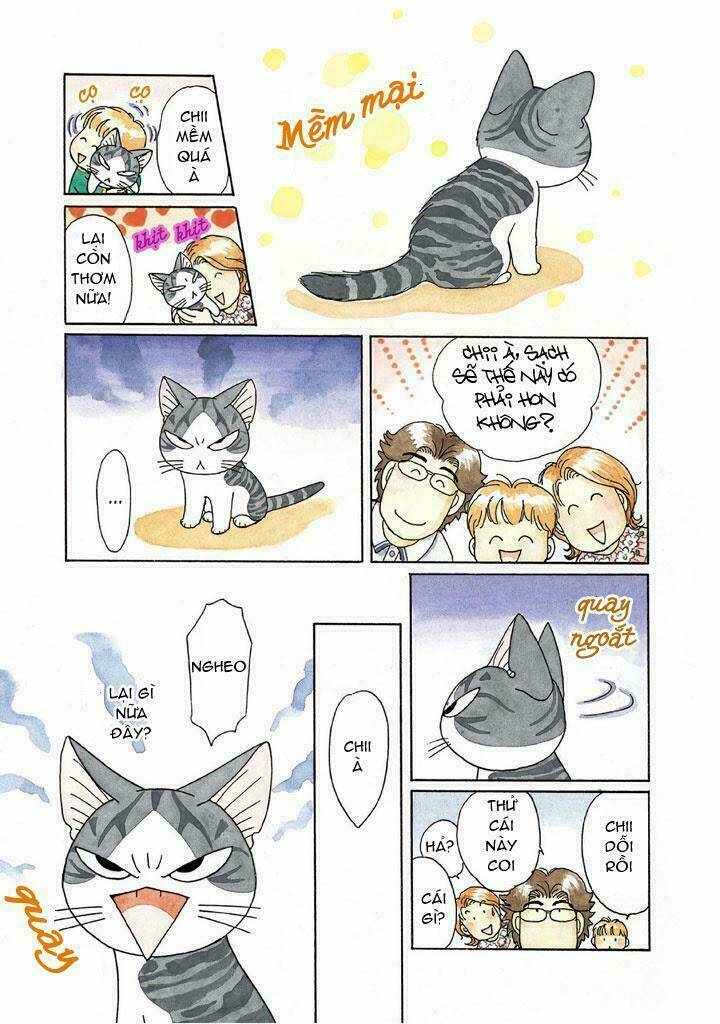 chi's sweet home chapter 115 7