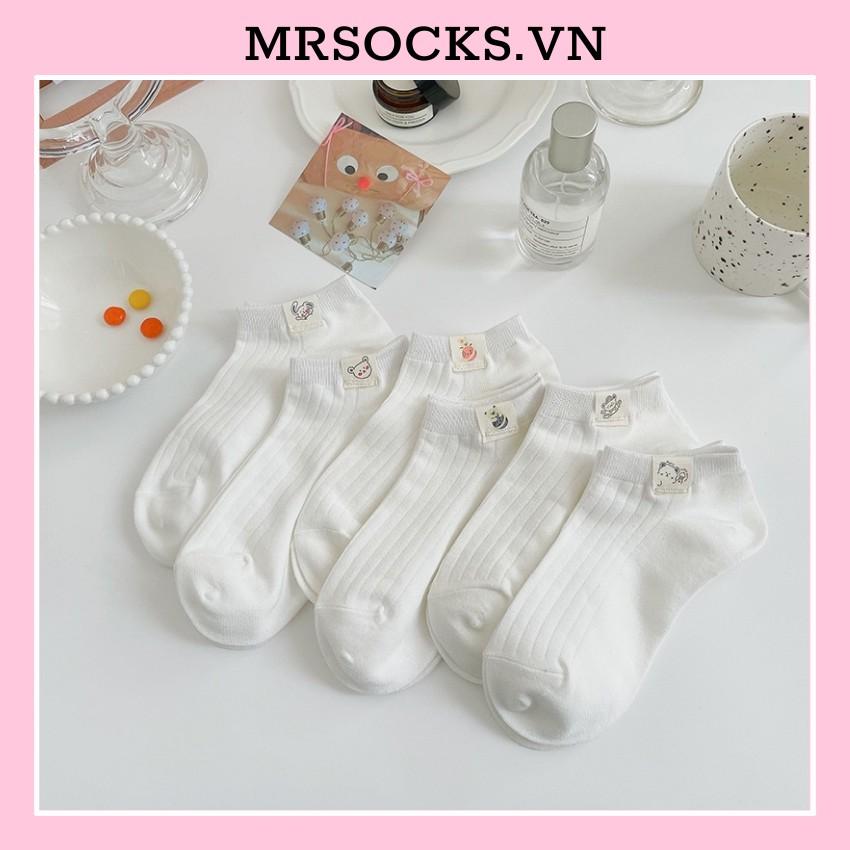 Vớ Tất Cổ Ngắn Icon TEM vải cotton kháng khuẩn, hàng loại 1 bao đổi trả dành cho cả nam và nữ