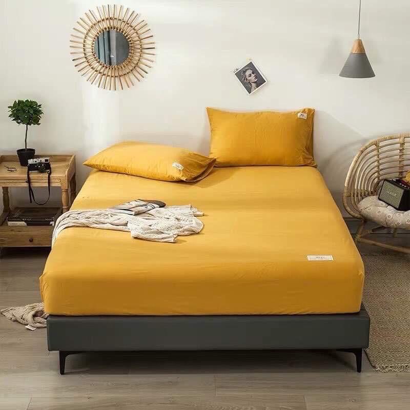 Set Ga Gối Cotton Tici Phong Cách Hàn Quốc Mềm Mại Mịn - Không vỏ ôm