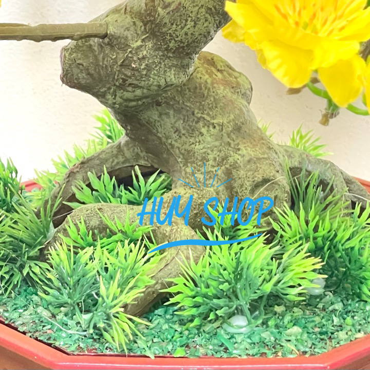 Hoa trang trí Ngày Tết - Chậu HOA MAI Vàng  để bàn trang trí nhà cửa