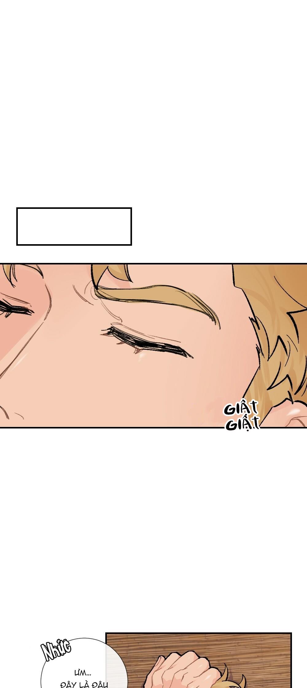 chăm sóc chapter 5 10