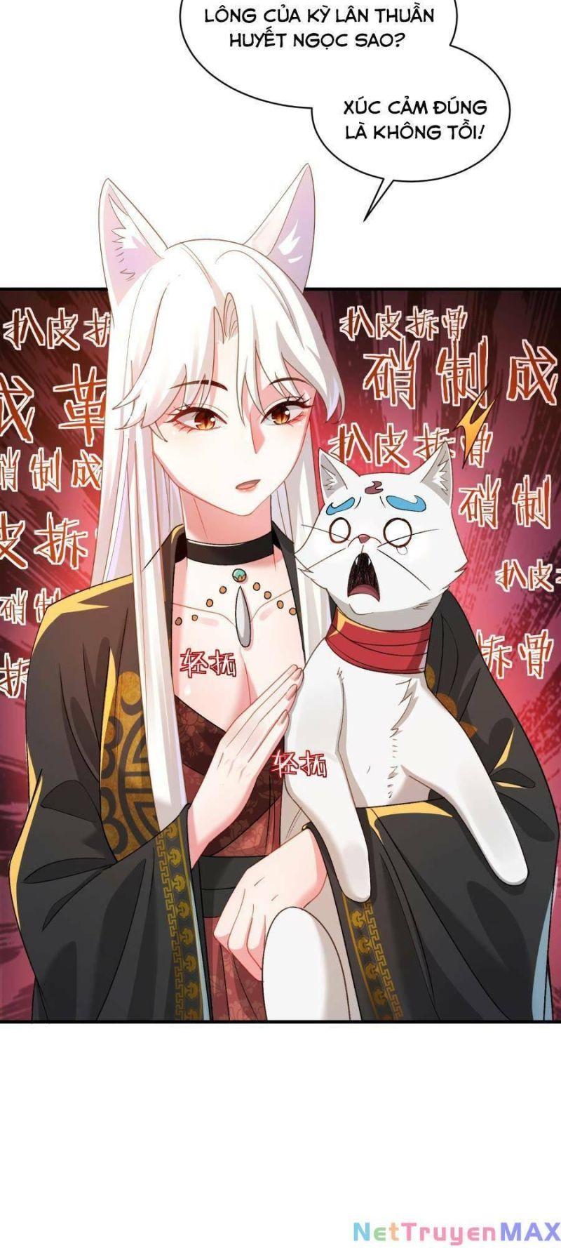 bói toán mà thôi, cửu vĩ yêu đế sao lại thành nương tử ta?! chapter 21 48