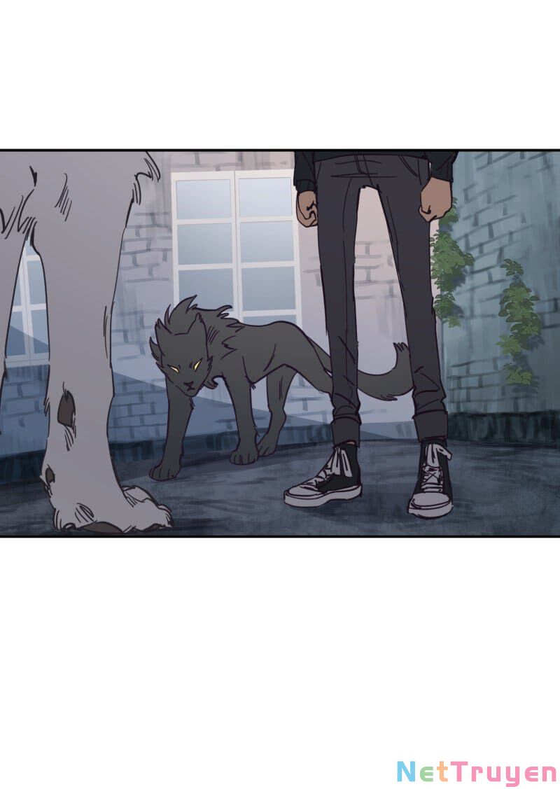 lumine - cội nguồn ánh sáng chapter 78 4
