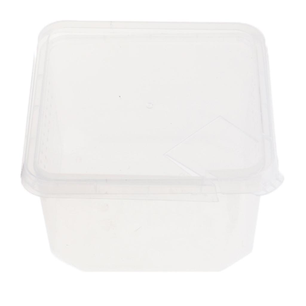 Plastic Insect Spider Habitat Feeding Box Cage Container REUSABLE 12x12x7cm