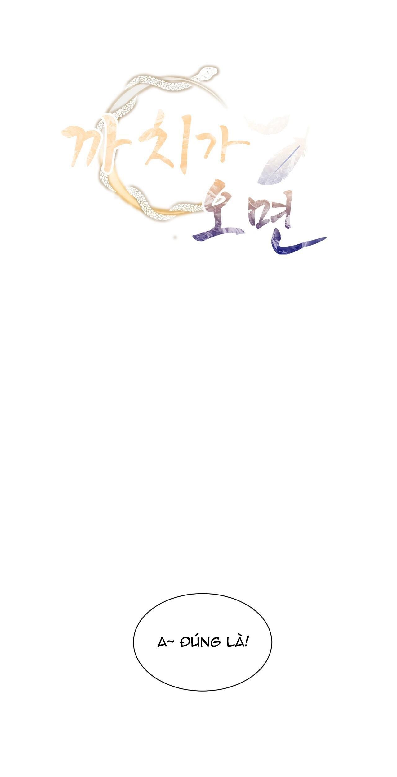 khi chim thước đến chapter 19 1