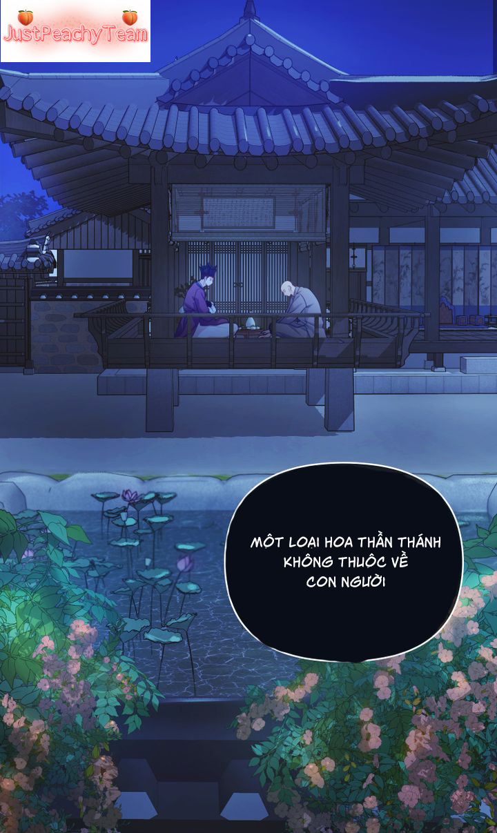 khi những nụ hoa nở rộ chapter 1 11