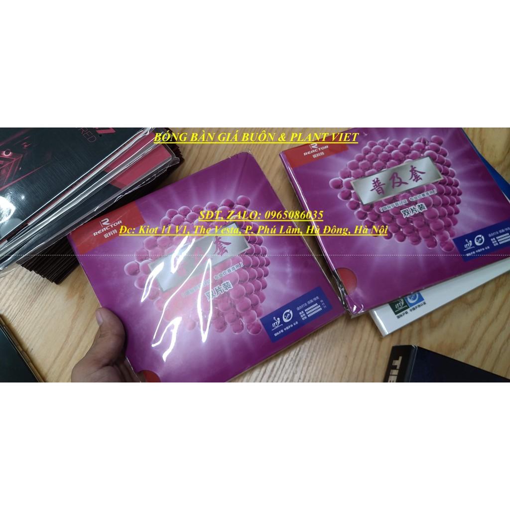 COMBO 2 MẶT VỢT BÓNG BÀN REATOR CORBOR TÍM tặng kèm keo sữa viền vợt