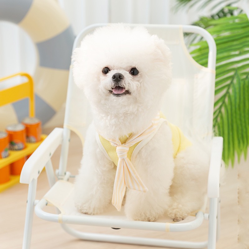 Áo lưới vàng khăn tam giác kẻ sọc gấu cheese cho thú cưng