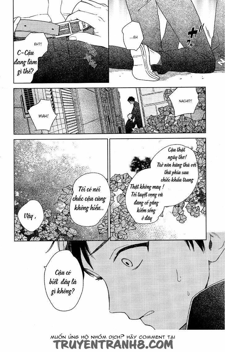 cryptic white chapter 1 10