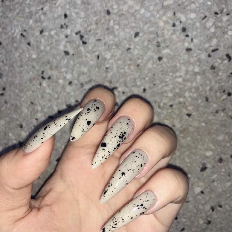 Top trứng cút, top cút