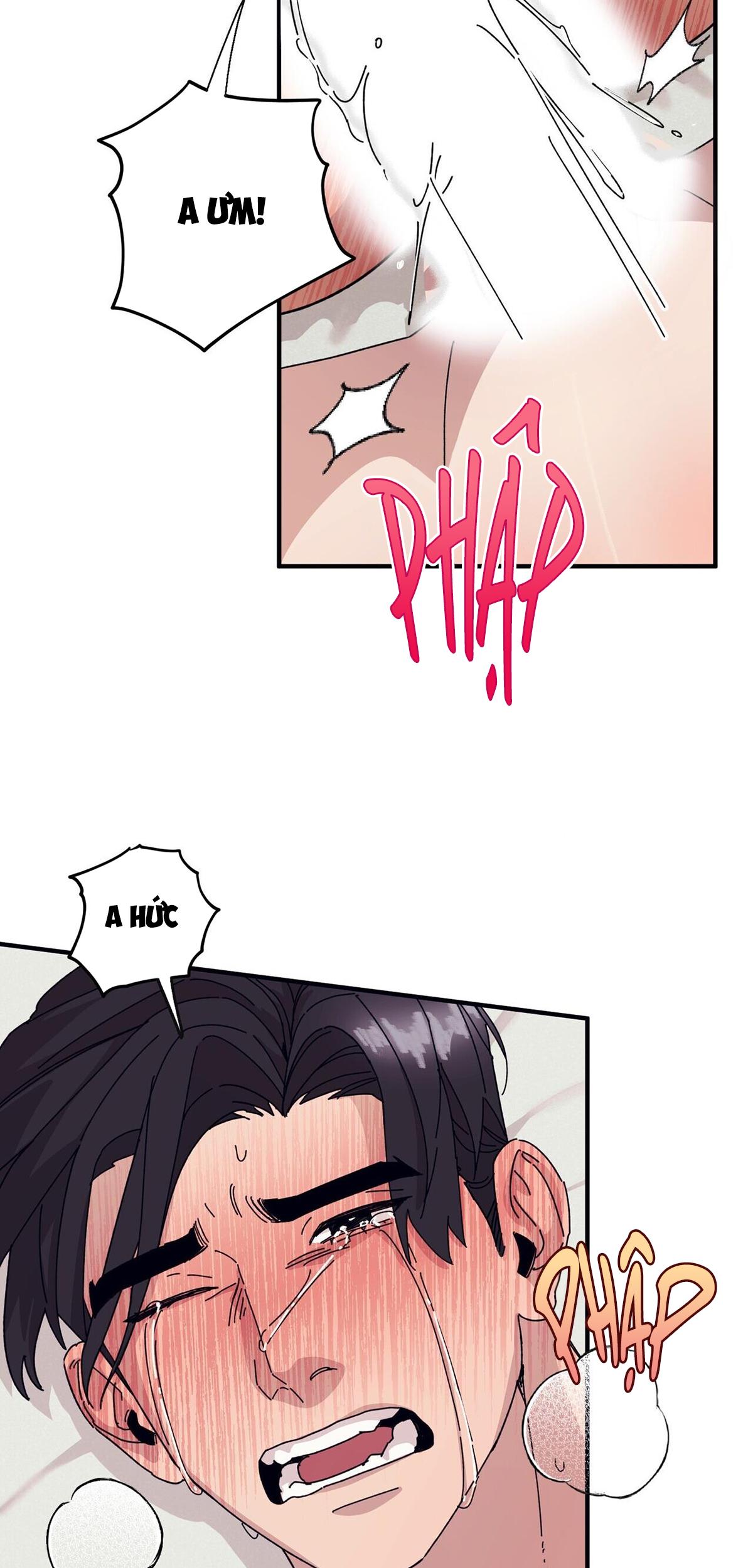 làm dâu nhà tài phiệt họ kang chapter 44 57