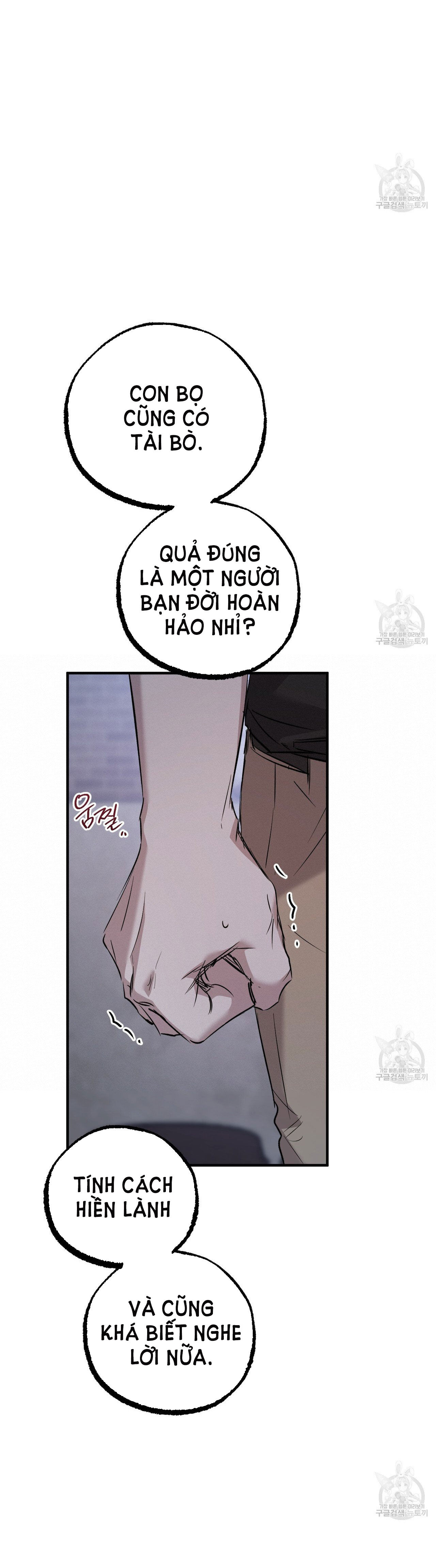 những chú thỏ của hapypy chapter 59.2 24