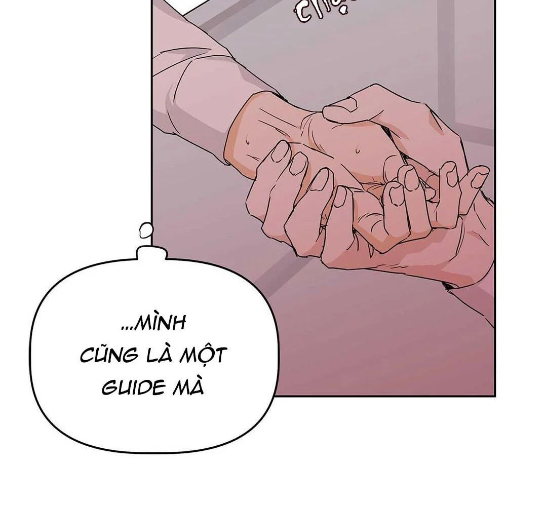 guide cấp b chapter 13 74