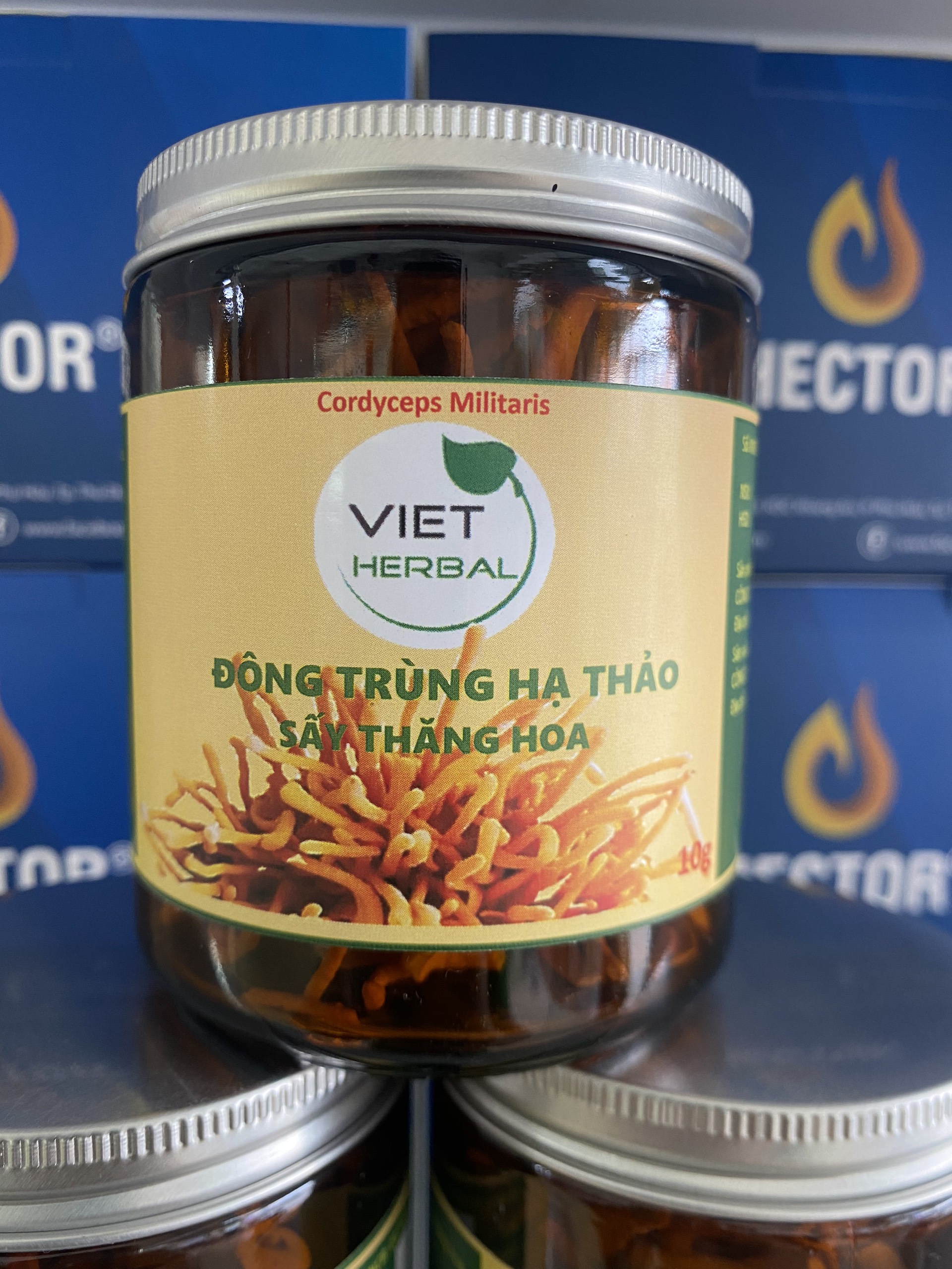 Đông trùng hạ thảo sấy thăng hoa hũ 10g tăng cường sức khỏe sức đề kháng