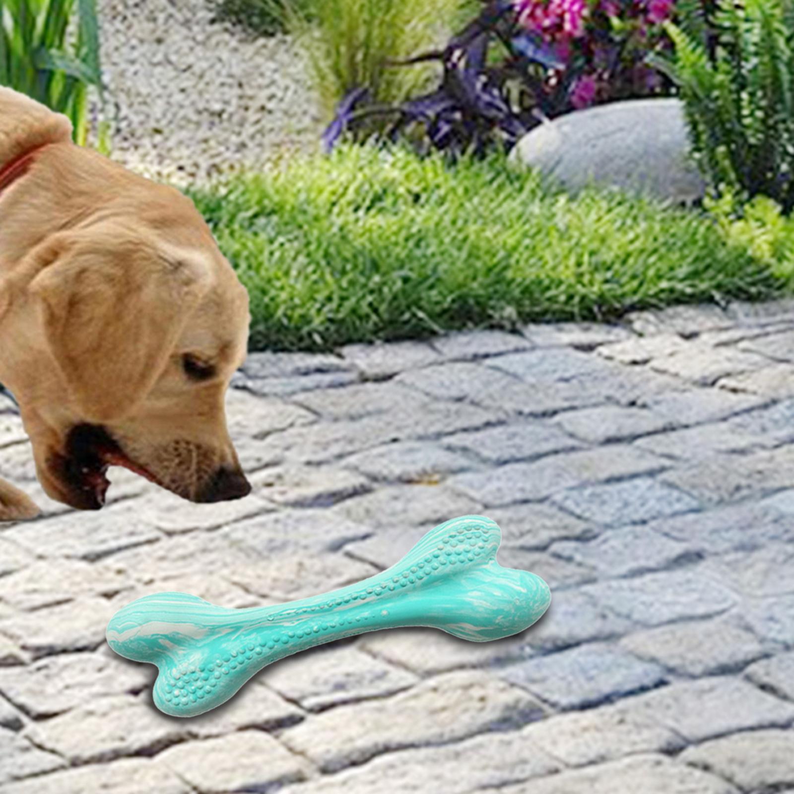 2 Packs Dog Chews Toys, chew bone for Small Medium Large dogs Dental Care