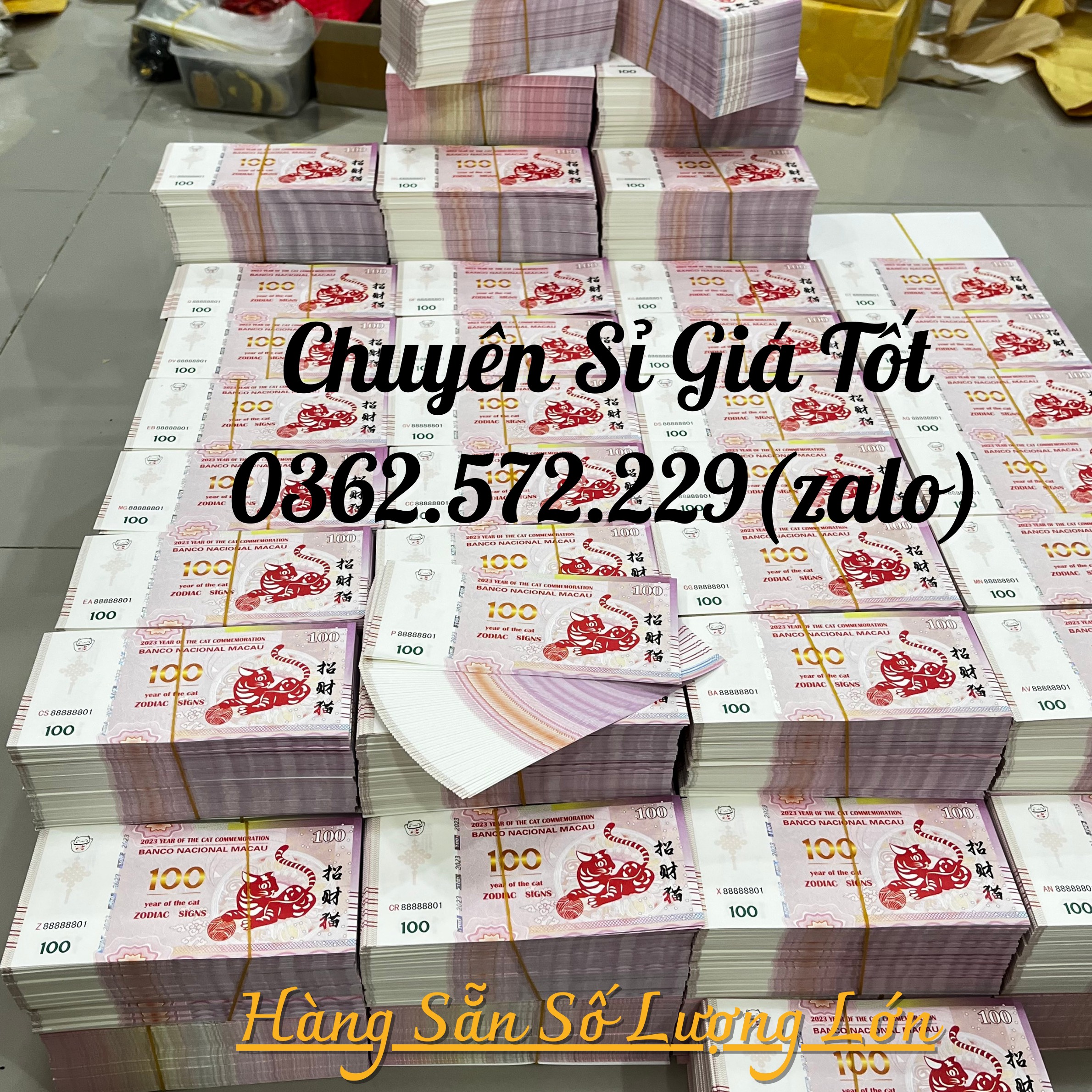 Tiền con Mèo Macao lưu niệm năm Qúy Mão 2023 Lì Xì Tết Mệnh Gía 100