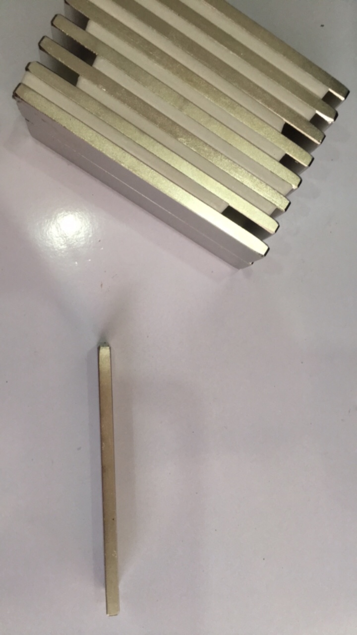 Nam châm viên đất hiếm 100x20x5mm