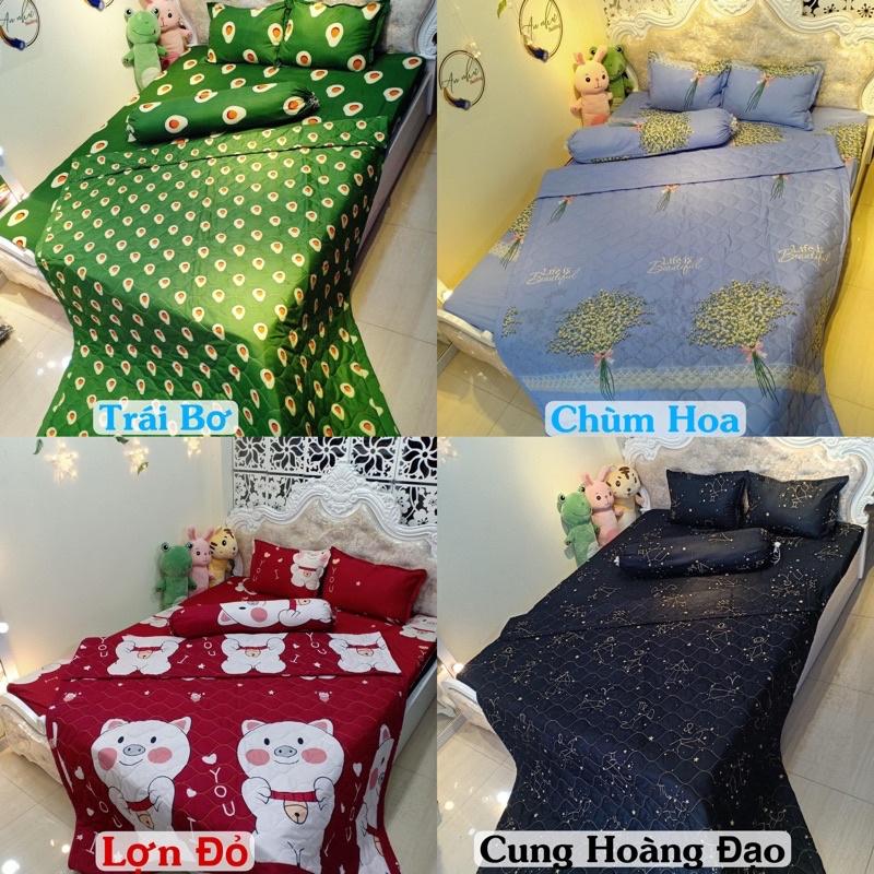 Bộ chăn hè ga gối 5 món Cotton poly - Nhiều mẫu lựa chọn , grap , ga chun , chăn ga gối , vỏ gối , chăn , mền