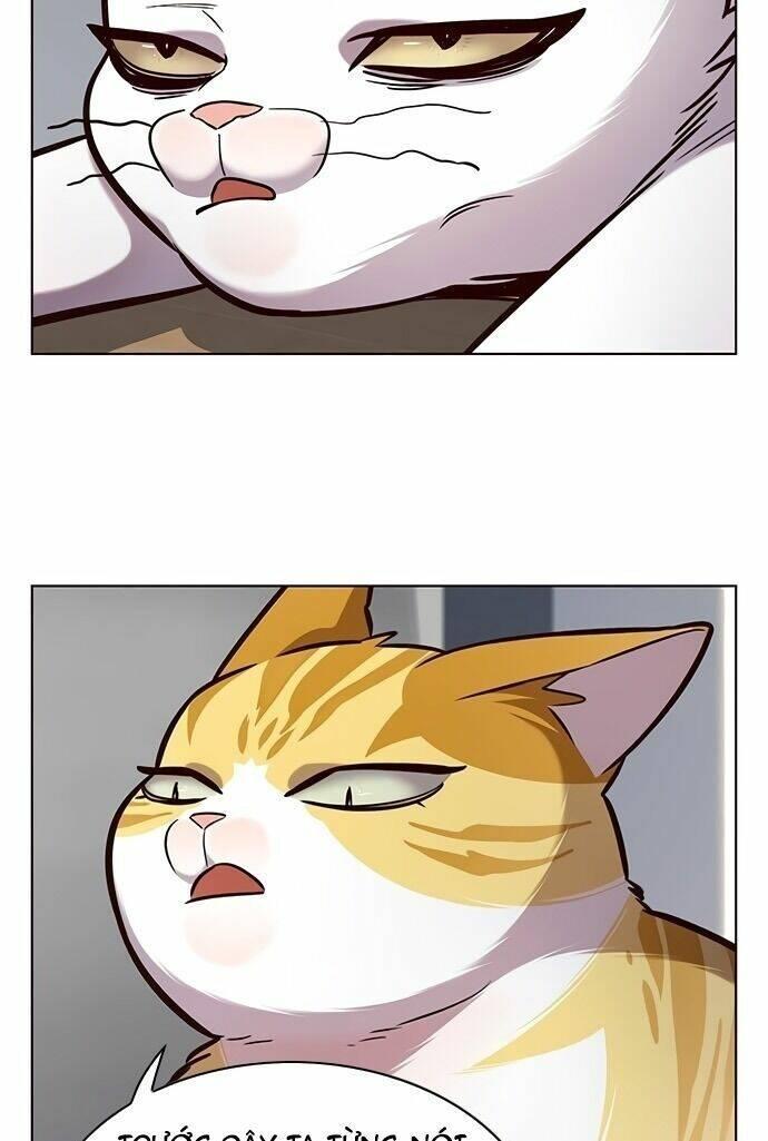 biến thân thành mèo chapter 187 7