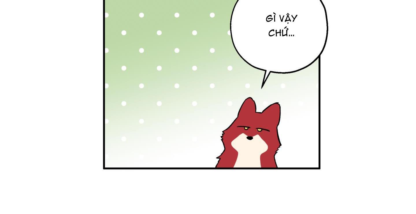 gâu gâu! chapter 51 17