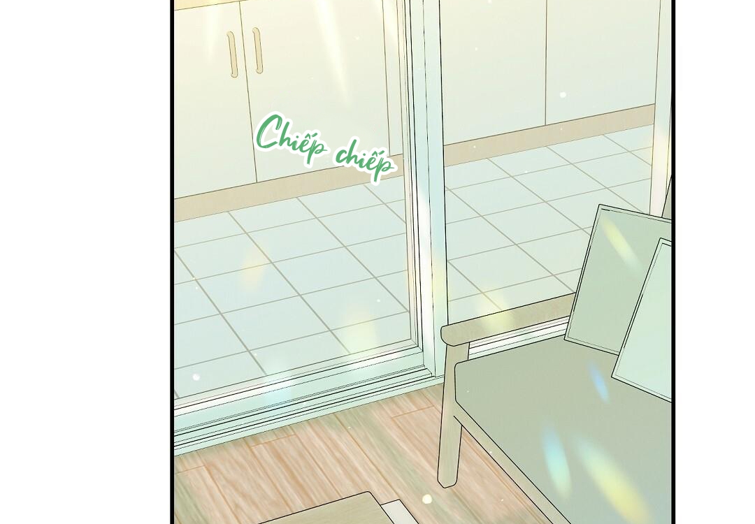 phức cảm tự ti của omega chapter 13 3