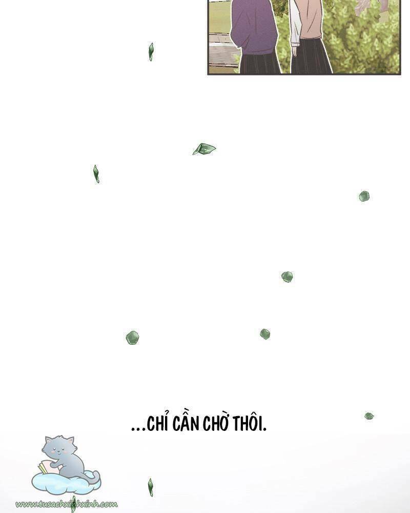 giấc mộng đêm hè chapter 1.1 34