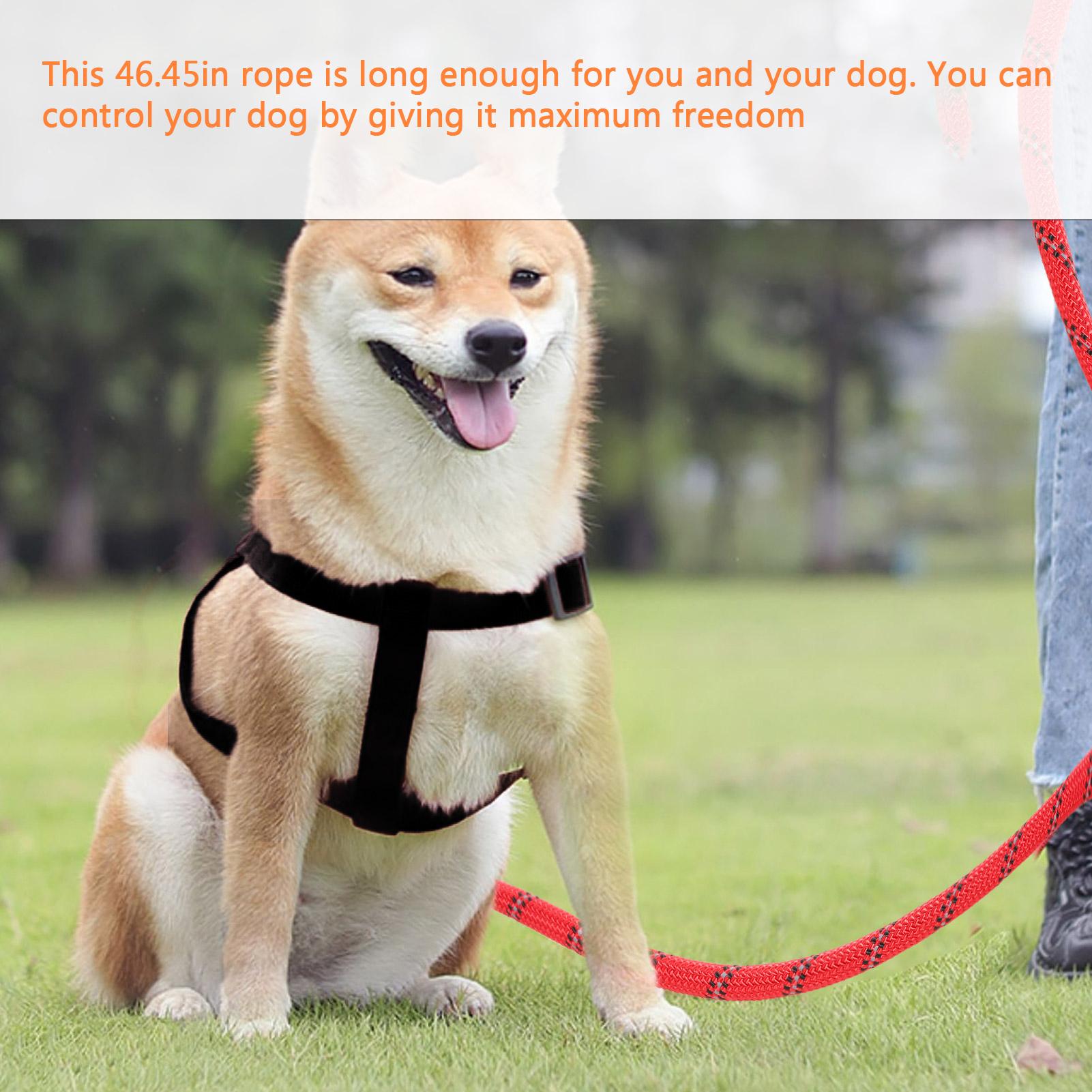 Dây dắt với tay cầm có đệm thoải mái dài 4ft