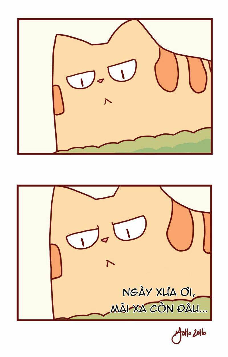 saphie: chú mèo một mắt chapter 18 14