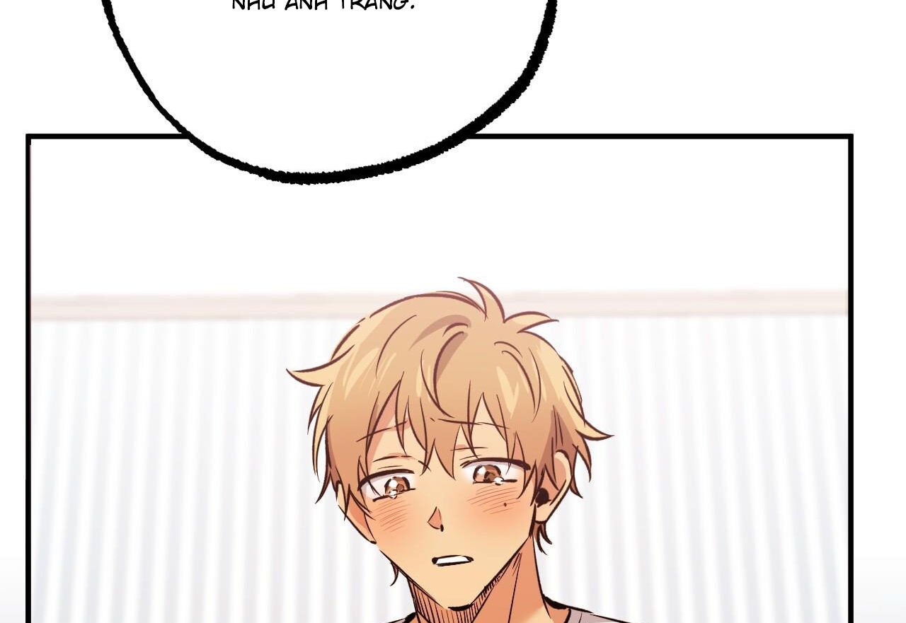 đàn thỏ của habibi chapter 59 194