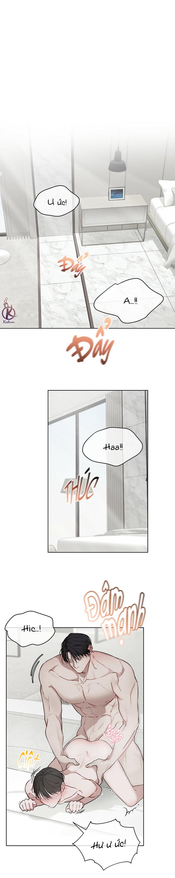 hình thái khởi sinh chapter 19 2