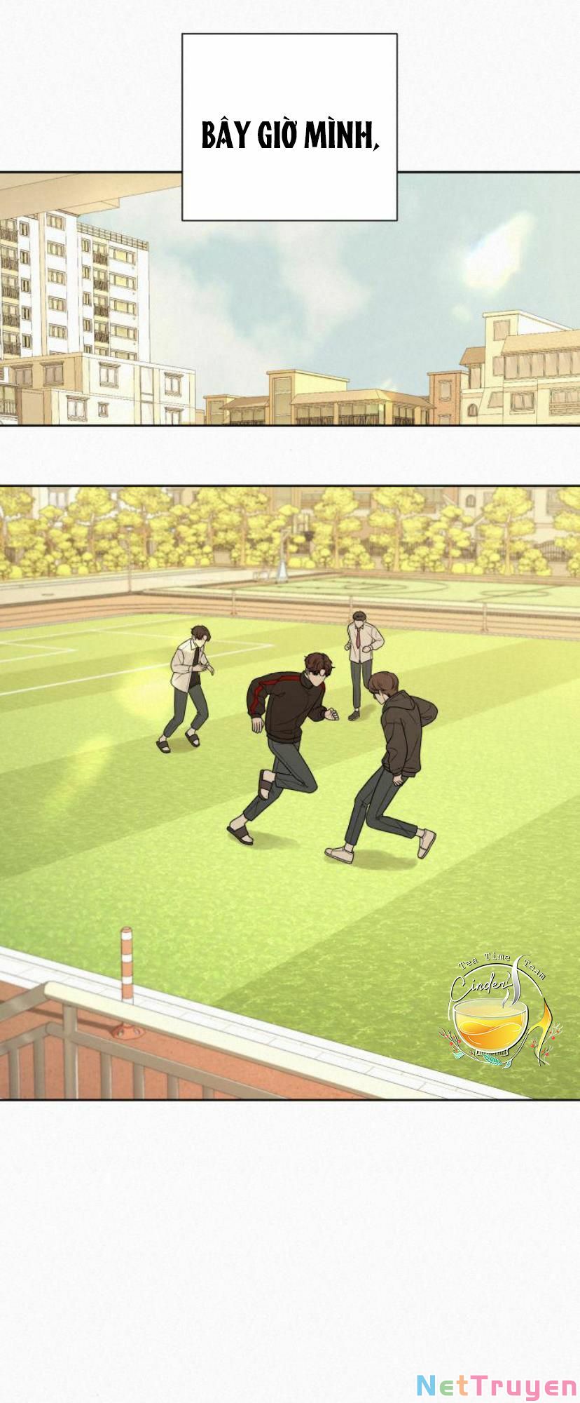 chiến lược: tình yêu trong sáng chapter 11 5