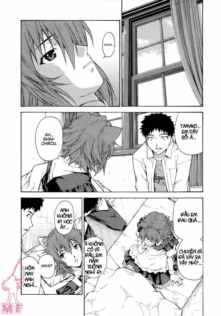 isuca chapter 10 17