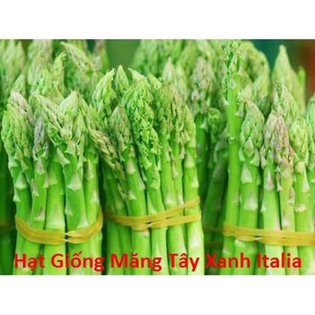 Hạt giống măng tây xanh italia gói 1g