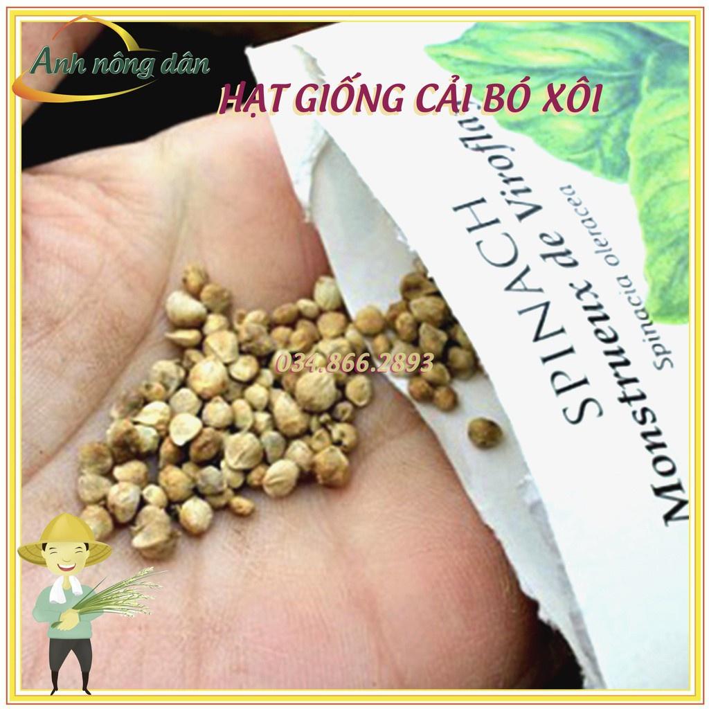 Gói 20g Hạt giống rau cải bó xôi chịu nhiệt - Rau chân vịt chịu nhiệt.