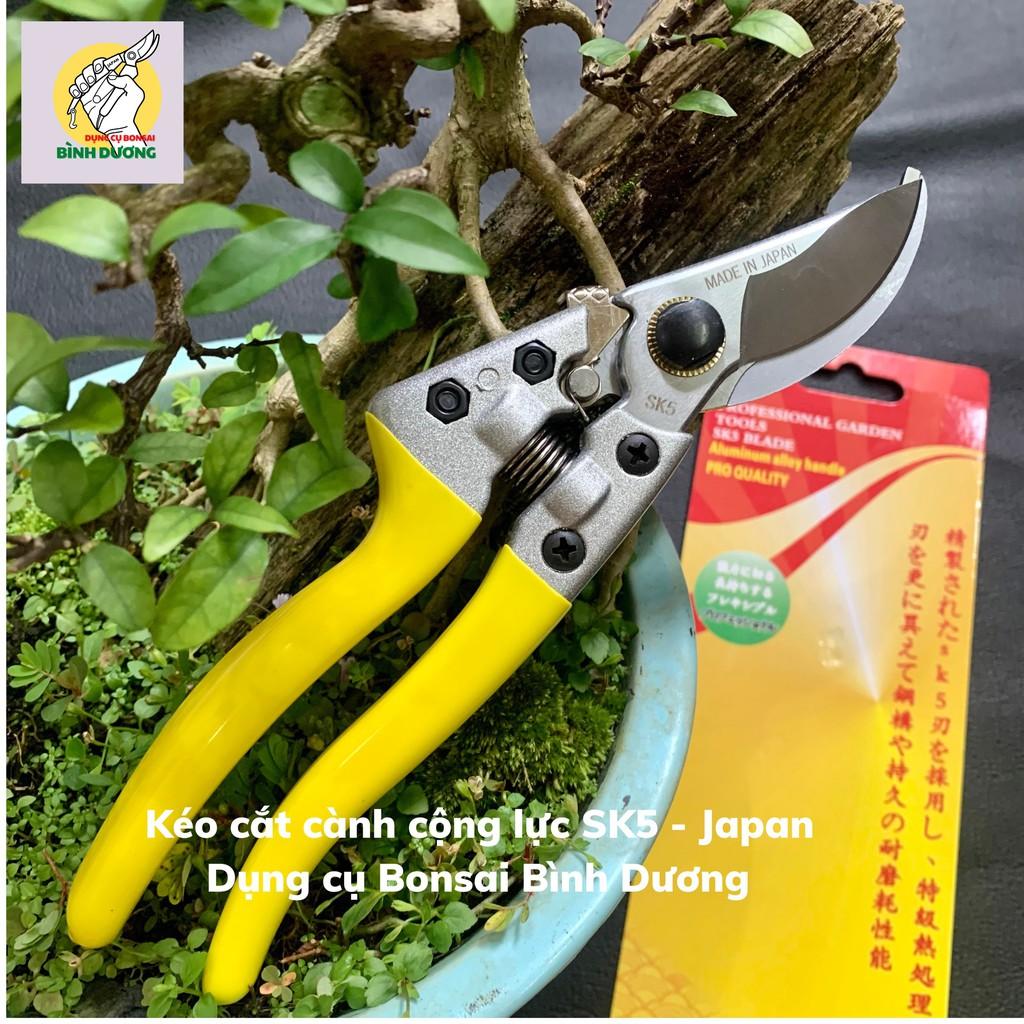 KÉO CẮT CÀNH CỘNG LỰC JAPAN – SK5 CẮT CÂY CẢNH BONSAI