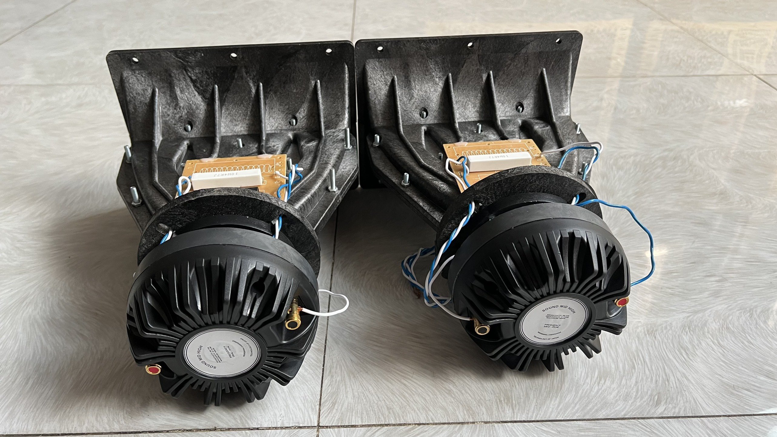 Chép Rời họng Aray củ chép 450 tiếng tí tách cực sáng và trong có phân tần Hải Triều