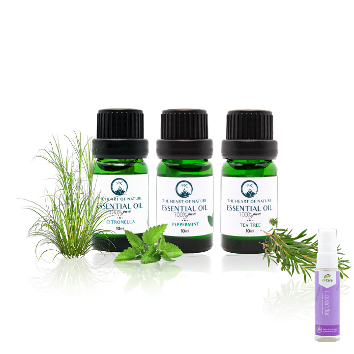 Combo tri ân - tinh dầu Sả Java - Bạc Hà - Tràm Trà - tặng xịt phòng lavender