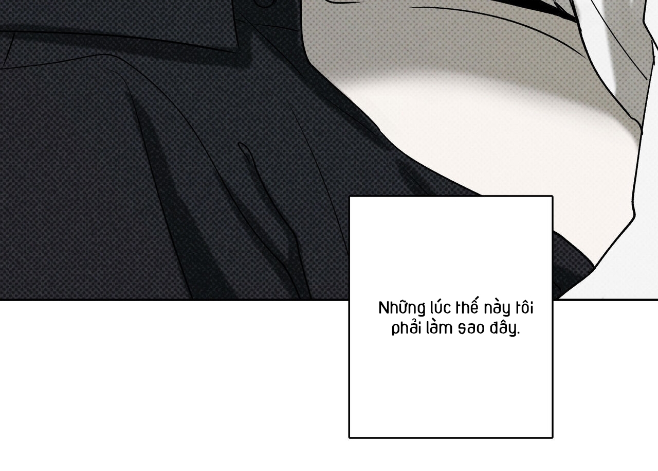 chàng giao pizza và gold palace chapter 44 166