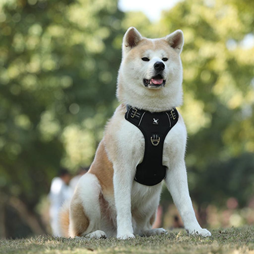 Adjustable Pet Vest Harness for M - L Dogs Walking