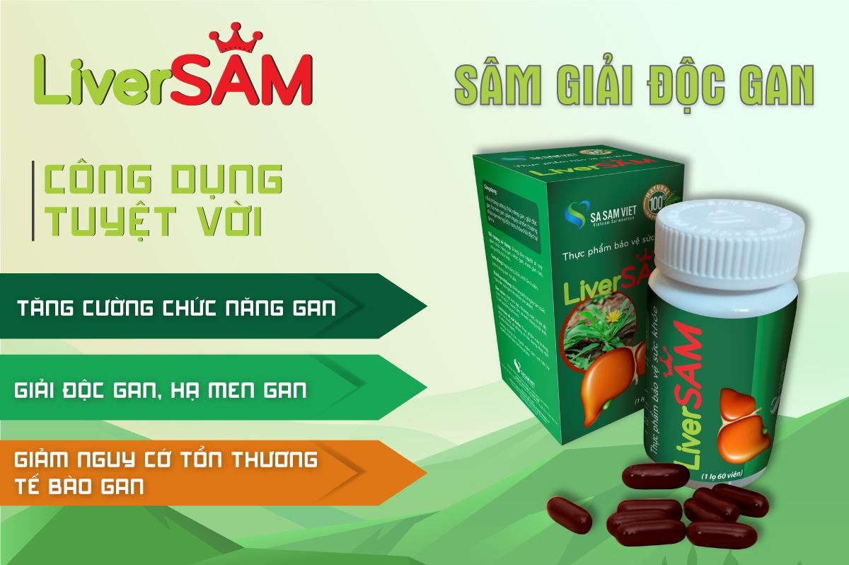 SÂM GIẢI ĐỘC GAN LIVERSAM - Hộp 60 viên nén, giúp giải độc gan, hạ men gan, tăng cường chức năng gan