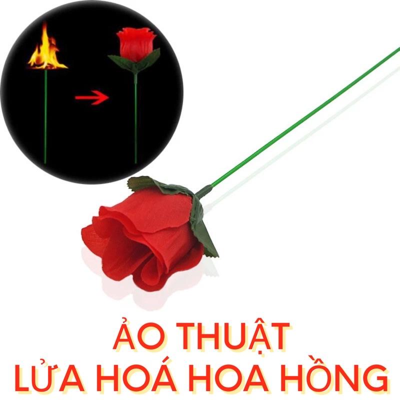 Ảo Thuật | Torch To Rose - Lửa hoá hoa hồng