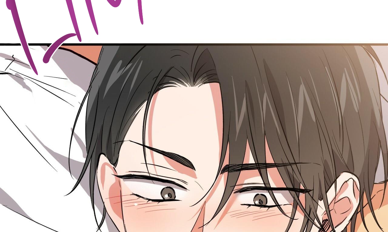 những chú thỏ của hapypy chapter 53 92