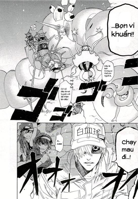 hataraku saibou! chapter 4 12