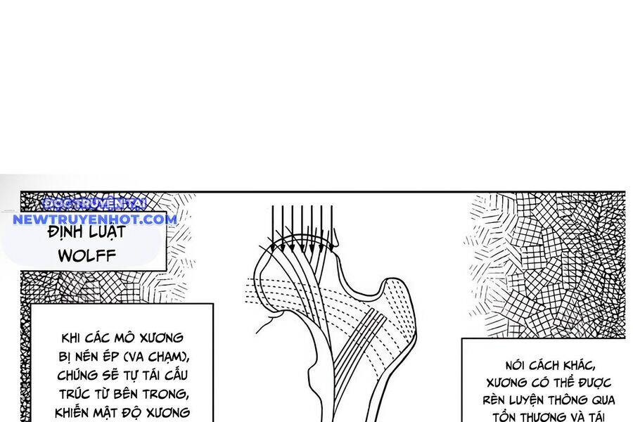 fight class 3 chapter 105 6